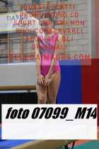 07099_M14-