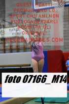 07166_M14-