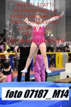 07187_M14-