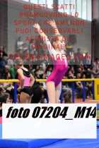 07204_M14-