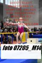 07205_M14-
