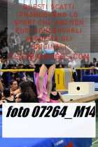 07264_M14-