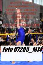 07295_M14-