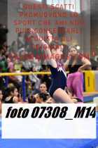 07308_M14-