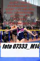 07333_M14-