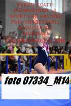 07334_M14-