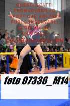 07336_M14-