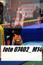 07402_M14-