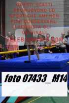 07433_M14-