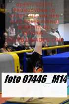 07446_M14-