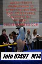 07497_M14-