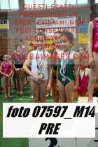07597_M14-PRE