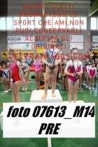 07613_M14-PRE