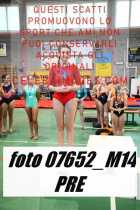 07652_M14-PRE