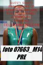 07663_M14-PRE