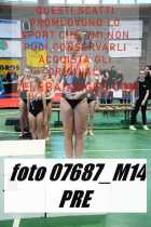 07687_M14-PRE