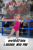 06909_M15-PRE