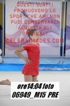 06949_M15-PRE