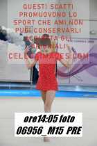 06956_M15-PRE