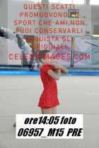 06957_M15-PRE