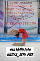 06973_M15-PRE