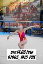 07005_M15-PRE