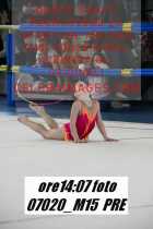 07020_M15-PRE