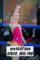 07028_M15-PRE