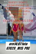 07029_M15-PRE