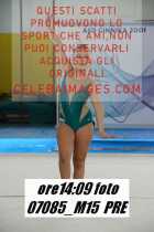 07085_M15-PRE