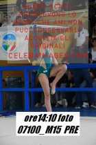 07100_M15-PRE