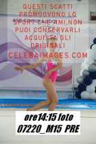 07220_M15-PRE