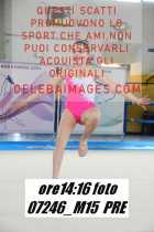 07246_M15-PRE