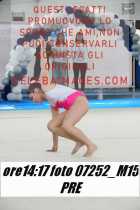 07252_M15-PRE