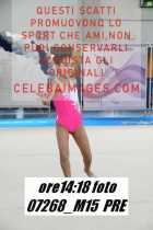 07268_M15-PRE