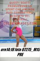 07275_M15-PRE