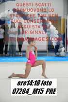 07284_M15-PRE