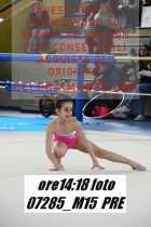07285_M15-PRE