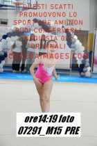07291_M15-PRE