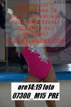 07300_M15-PRE