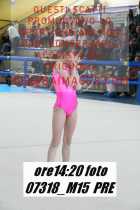 07318_M15-PRE