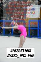 07325_M15-PRE
