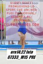 07333_M15-PRE
