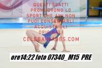 07340_M15-PRE