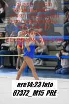 07372_M15-PRE