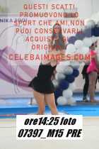07397_M15-PRE