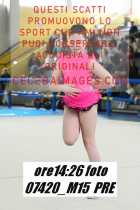 07420_M15-PRE