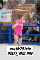 07421_M15-PRE