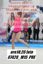 07428_M15-PRE