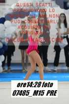 07485_M15-PRE